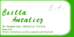 csilla antalicz business card